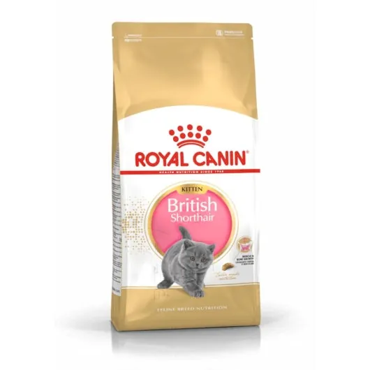 Royal Canin Feline British Shorthair Kitten – für British Shorthair-Welpen