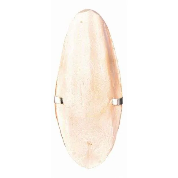 Trixie Sepia-Schale mit Halter – natürliche Kalziumquelle für Vögel