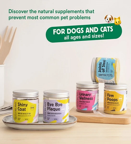 Wild Balance Urinary Wellness Supplement for Dogs & Cats 100g