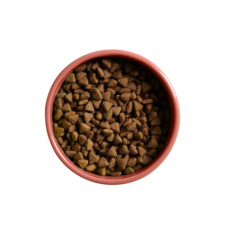Yora Pet Foods Grain-Free Insect Protein Adult Dry Dog Food