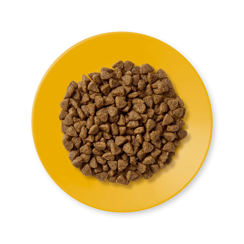 Applaws Kitten Grain Free Dry Cat Food With Chicken 2KG