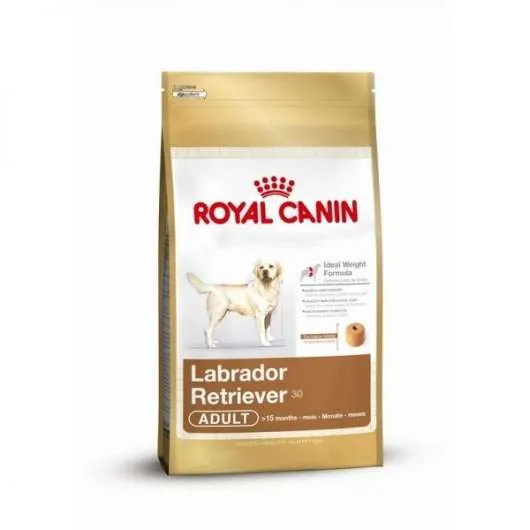 Royal Canin Labrador Retriever Adult - für ausgewachsene Labradore