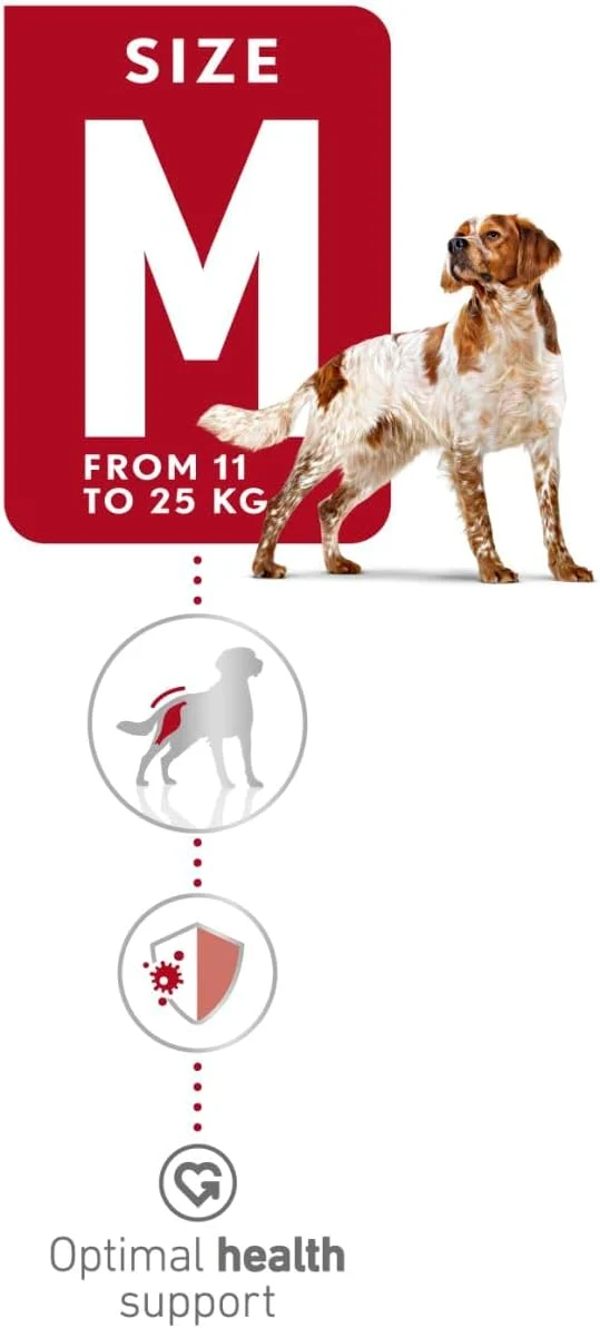 Royal Canin Medium Adult Dry Dog Food