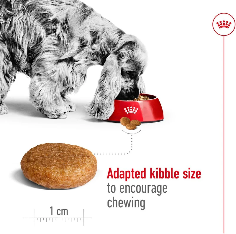 Royal Canin Medium Adult Dry Dog Food