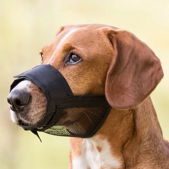 Trixie Maulkorb mit Netzeinsatz für Hunde – bessere Luftzufuhr