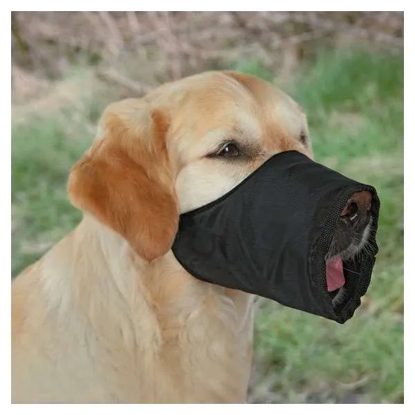 Trixie Nylon-Maulkorb für Hunde – stufenlos verstellbar, ideal für Tierarztbesuche