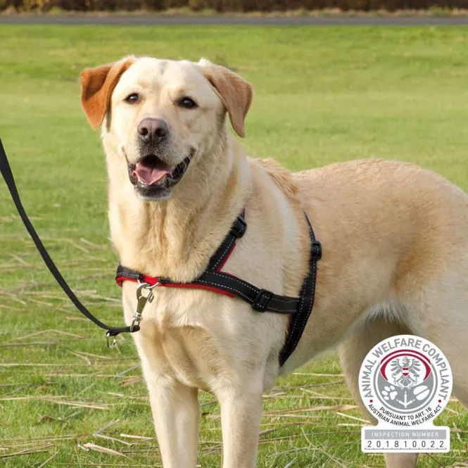 Trixie Trainingsgeschirr Lead'n'Walk Soft für Hunde – hindert am Ziehen, stufenlos verstellbar
