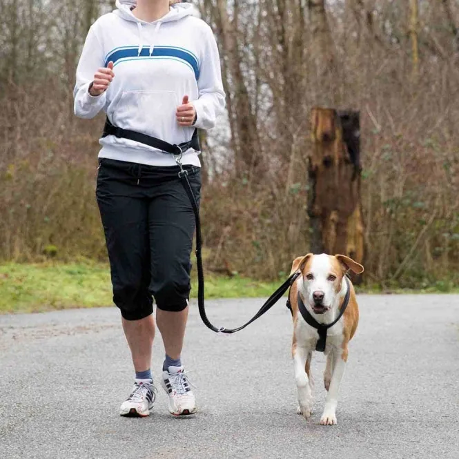 Trixie Bauchgurt mit Leine für große Hunde – ideal zum Joggen und Walken