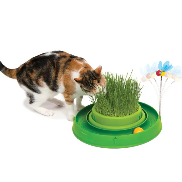 CATIT Play-n-Scratch Katzenspielzeug mit Grasgarten – fördert Spiel und Krallenpflege
