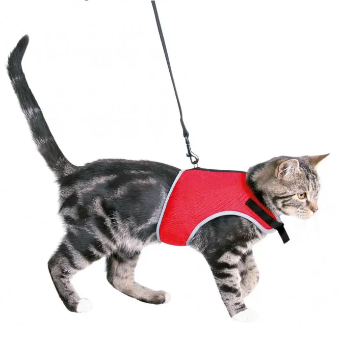 Trixie Katzen-Softgeschirr mit Leine