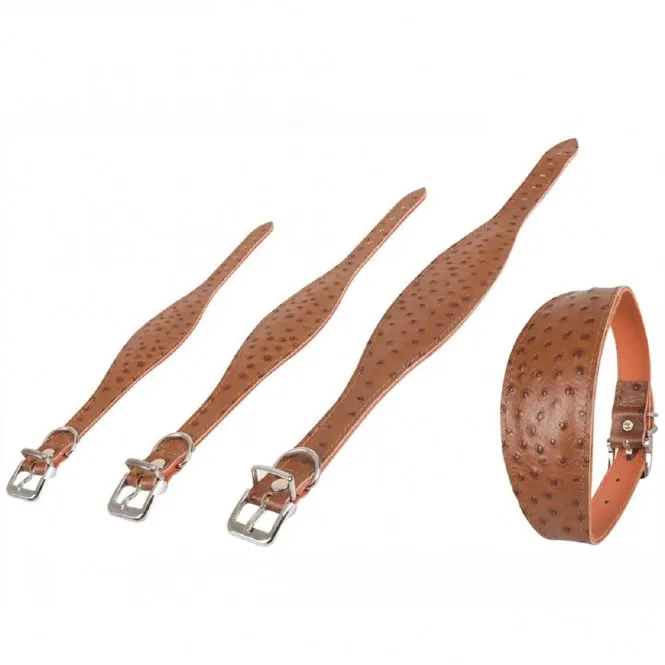 Karlie Windhund-Halsband Ventus – aus Kalbsleder, genietet