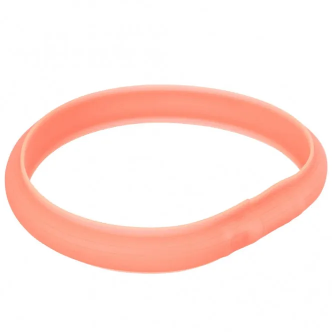Trixie Flash Leuchtband USB - Sichtbarkeit bis 500m