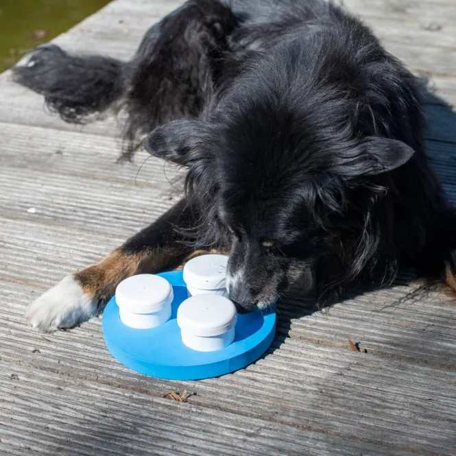 PROCYON Schnüffel-Ring – für Hunde