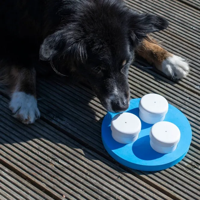 PROCYON Schnüffel-Ring – für Hunde