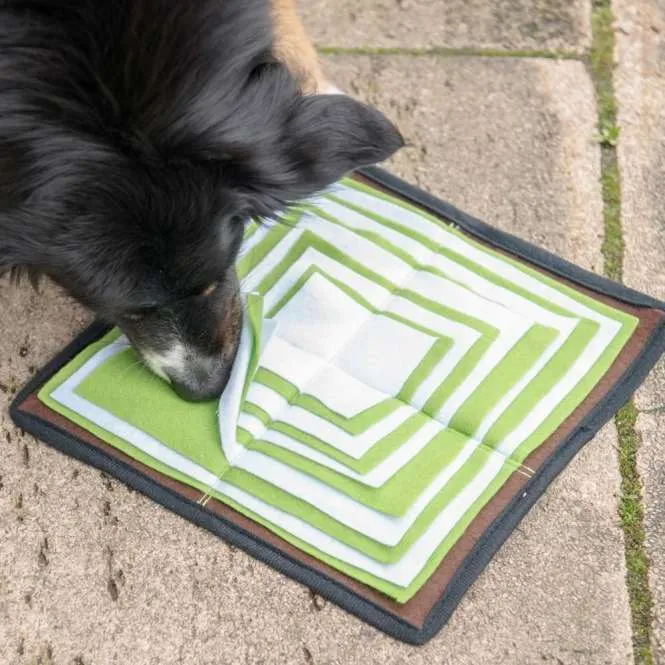 PROCYON Schnüffelpyramide - für Hunde mit Leckerlis