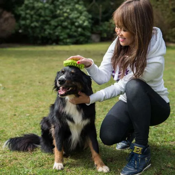 PROCYON Silikonbürste - für Hunde mit Massageeffekt
