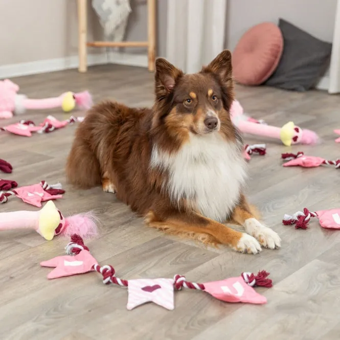 Trixie Hundespielzeug Valentines Strauß – kuscheliges Spielzeug