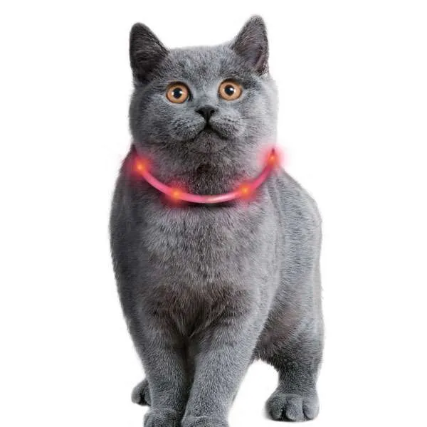 Karlie Visio Light Cat LED-Schlauch – sichtbar bis 500m, USB aufladbar