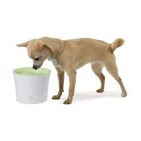 CATIT Fresh+Clear Trinkbrunnen 3L – für Katzen und kleine Hunde
