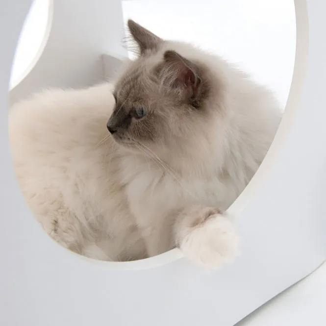 Vesper Katzenhaus Condo - Weiß – stylisch und komfortabel für Katzen