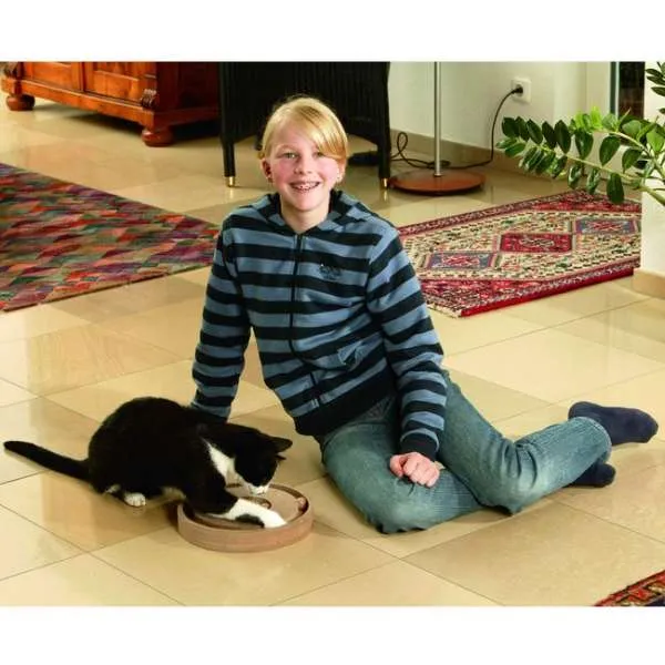 Karlie Kitty Brain Train - 2 in 1 für Katzen