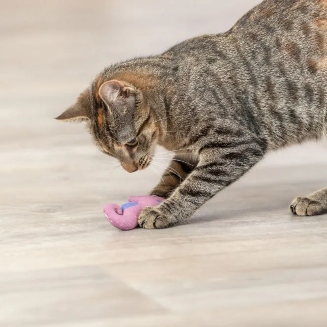 Trixie Katzenspielzeug Seepferdchen – 11 cm