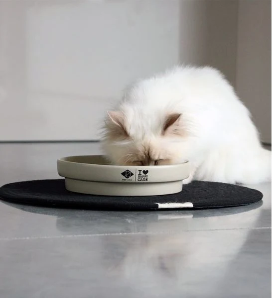 D&D Home I Love Happy Cats Sue Slow Feeder Dot Cat Bowl 20x20x4.5cm