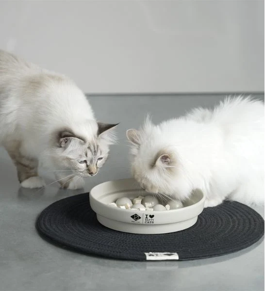 D&D Home I Love Happy Cats Sue Slow Feeder Dot Cat Bowl 20x20x4.5cm