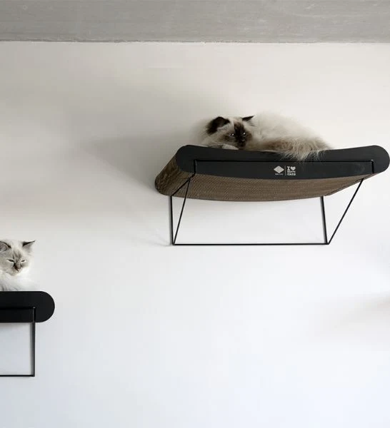D&D Home I Love Happy Cats Refill Cardboard for David Curved Shelf 60x29x10cm