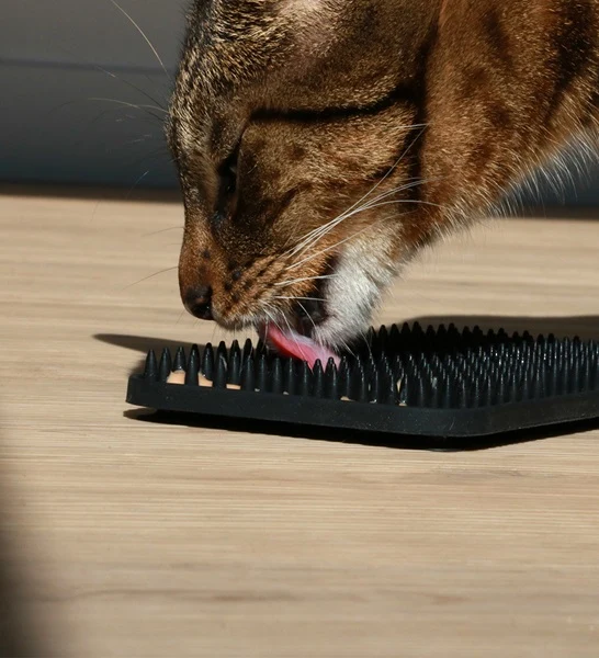 D&D Home I Love Happy Cats Lex Licking Mat Studs for Cats - Slow Feeder