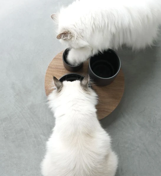 D&D Home I Love Happy Cats Iggy Enriched Food Tray with 3 Levels Food Bowl for Cats 27x27x19cm