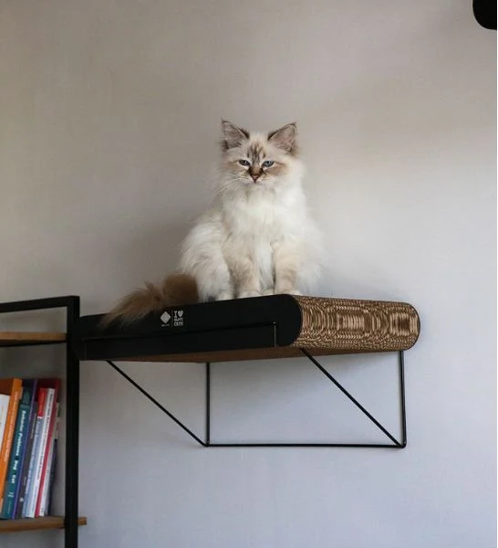 D&D Home I Love Happy Cats David Cardboard Wall Mountable Cat Shelf
