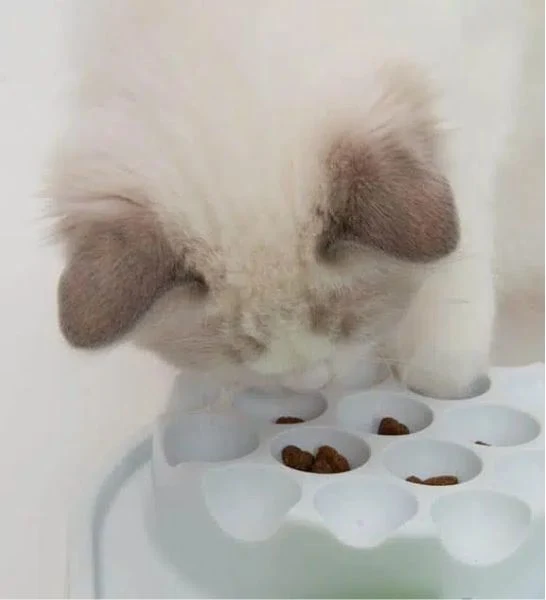 Catit Play Treat Puzzle Feeder 40 x 40 x 8 cm (WxDxH)