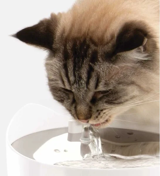 Catit Pixi Smart Fountain with Stainless Steel Top 2L