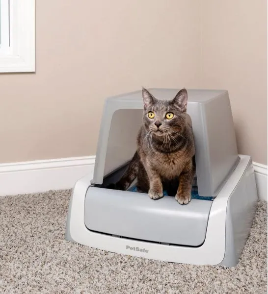 Petsafe ScoopFree 1.5 Automatic Cat Litter Box With Hood