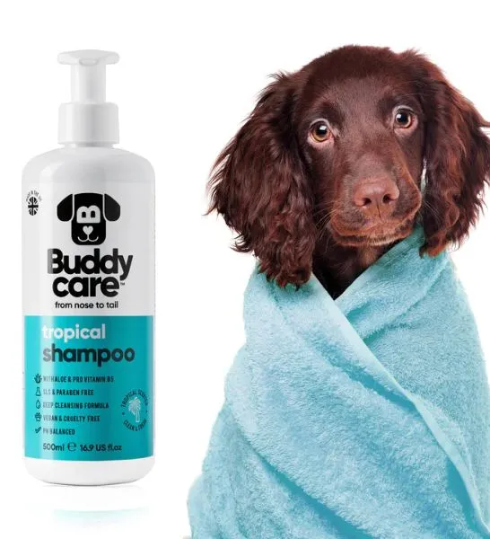 Buddycare Tropical Dog Shampoo