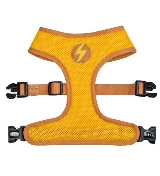 Dashi Snooze Neo Mesh Harness for Dogs