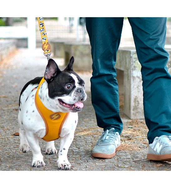 Dashi Snooze Neo Mesh Harness for Dogs