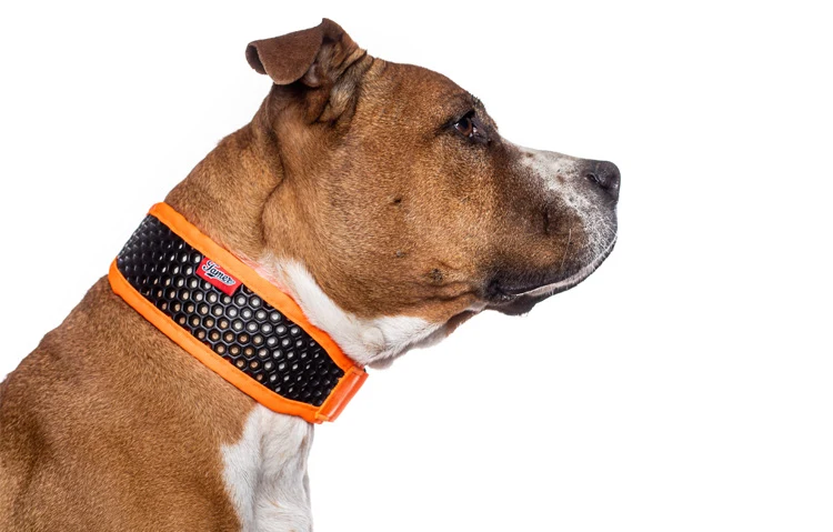 Tamer SOFTY Perforated Foam & Light Collar For Dogs