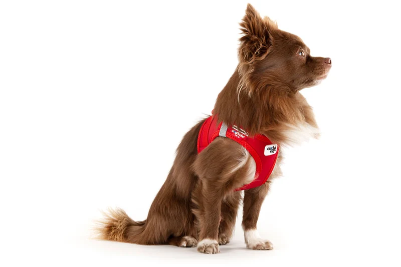 Curli Softshell Vest Harness With Curli Clasp For Dogs