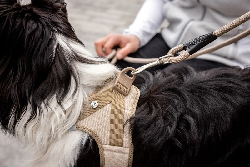 Curli Cord Vest Harness With Curli Clasp for Dogs