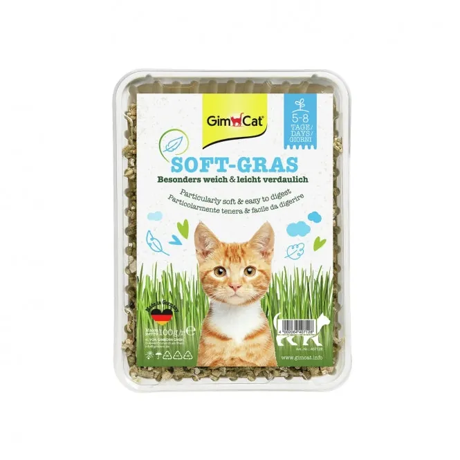 GimCat Soft-Gras 100g - gesundes Katzengras für Katzen