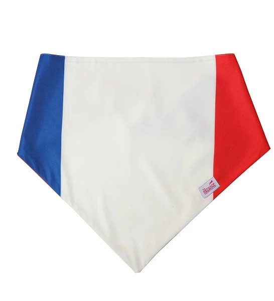 ZiggyDog France Flag Dog & Cat Bandana