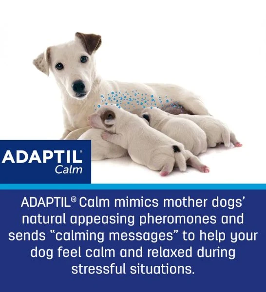 Adaptil Calm Diffuser + Refill for Dogs 48ml