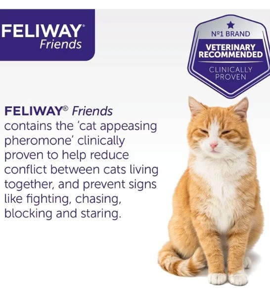 Feliway Friends Refill for Cats 48ml
