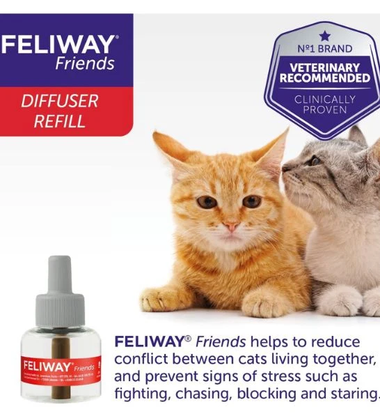 Feliway Friends Refill for Cats 48ml