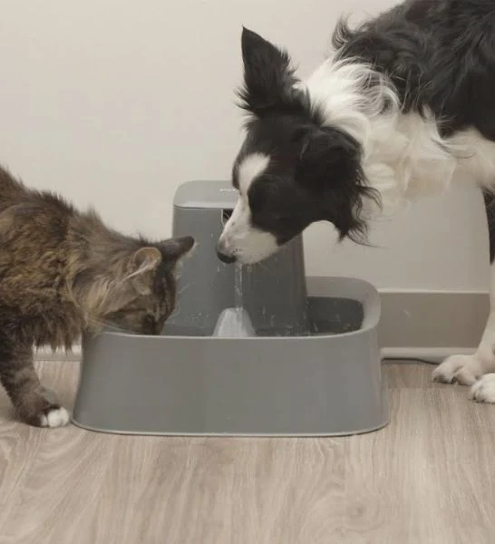 Drinkwell Dog & Cat Pet Fountain 7.5L