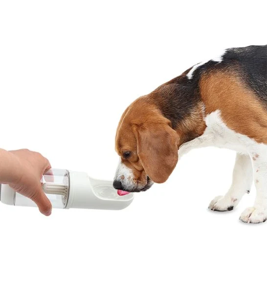 all for paws Handy Drinking Bottle for Dogs 330ml