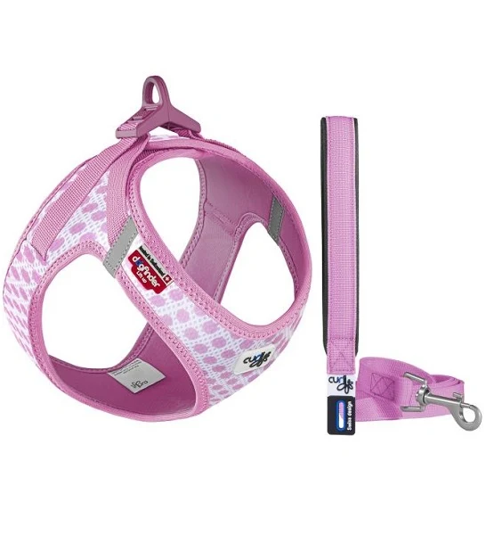 Curli Vest Harness with Curli Clasp Air Mesh & Leash for Dogs