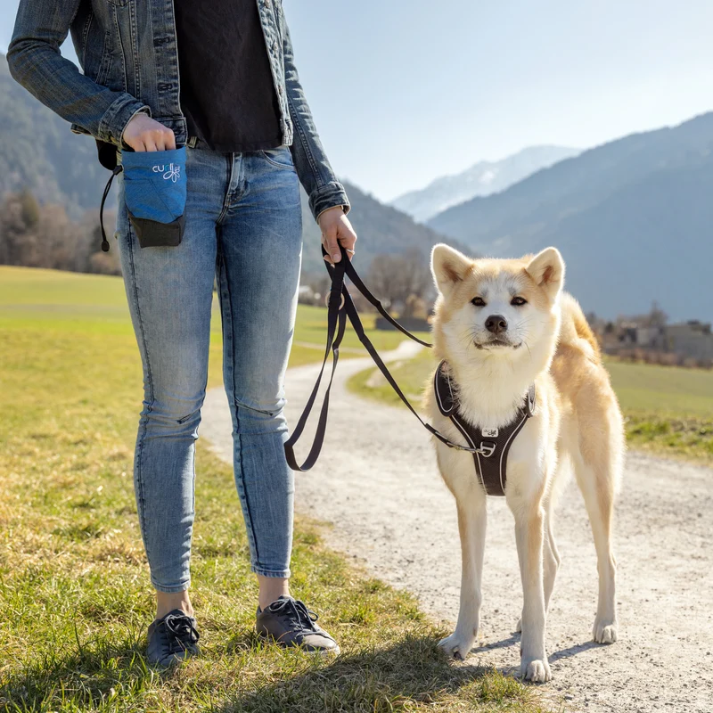 Curli Adjustable Nylon Leash for Dogs
